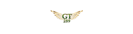 gt289th3